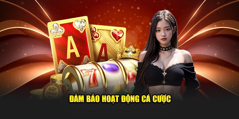 dam-bao-hoat-dong-ca-cuoc