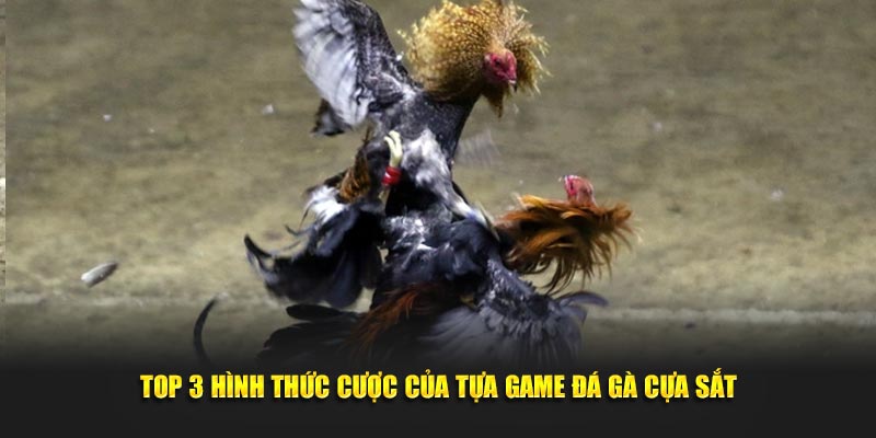 Top 3 hình thức cược của tựa game đá gà cựa sắt